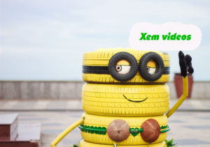 Read more about the article VIDEOS HƯỚNG DẪN